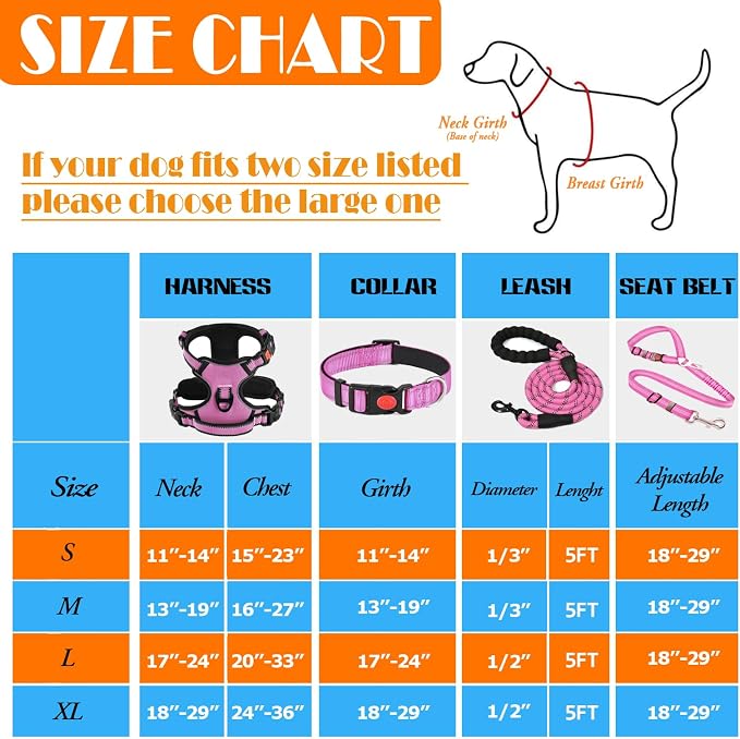 LOBEVE No Pull Dog Harness, Collar & Leash Set with Travel Accessories | Includes Dog Seat Belt, Collapsible Bowls & Poop Bag Dispenser. Ideal for Training, Walking, Hiking. Fits Small to Large Dogs - Image 3