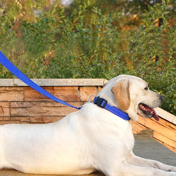 6 FT Basic Dog Leash for Small Dogs,Padded Handle,Blue | Padded Handle,Metal D-Ring,Heavy Duty Nylon Webbing, for Walking & Training - Image 3