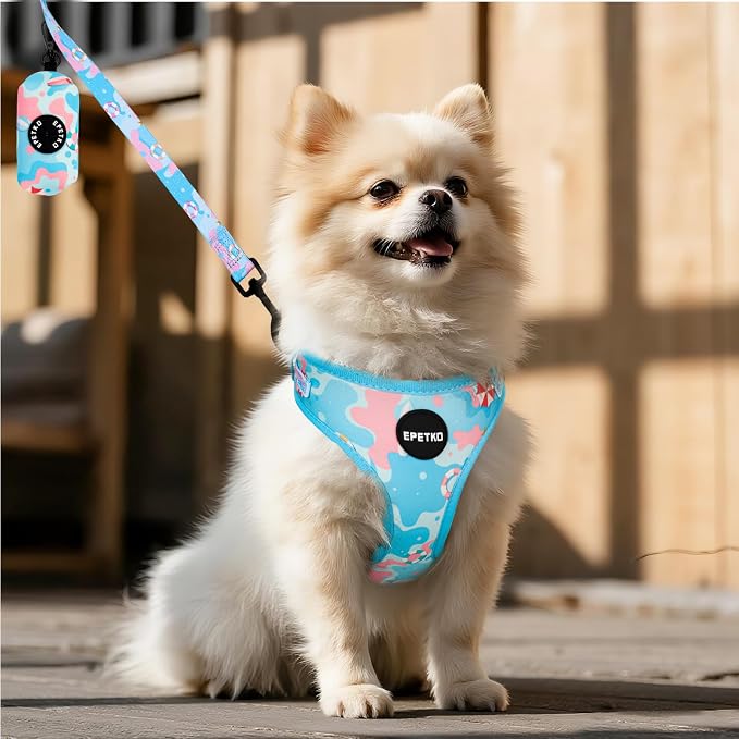 Small Dog Harness and Leash Set of 6, No Pull Soft Lightweight Mesh Puppy Harness， Adjustable Cute Floral Pattern Pet Harness for Small Medium Dogs (Blue Sea, M) - Image 8