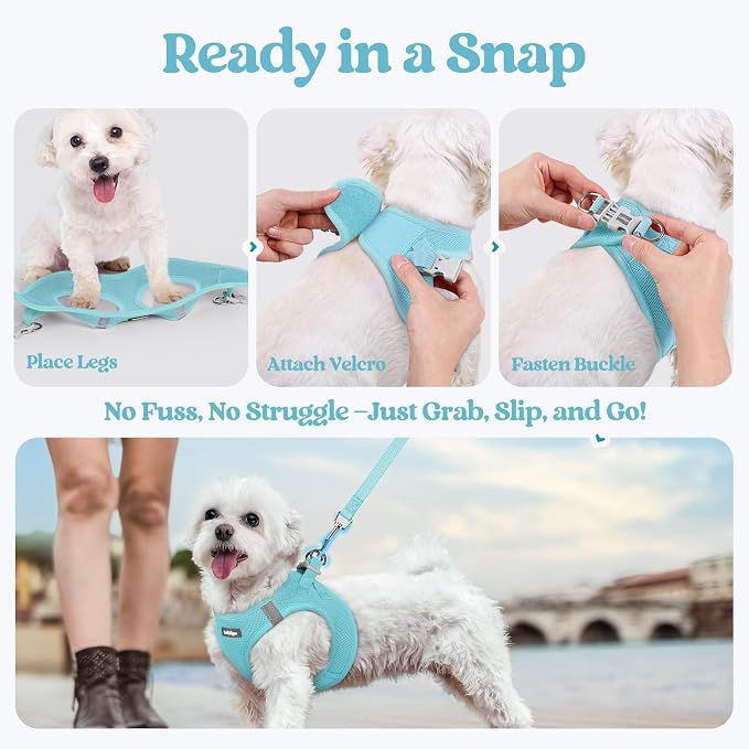 rabbitgoo Dog Harness Small Sized and Leash Set, Step-in Puppy Pet Vest | Light, Soft, Breathable Air Mesh, Easy on and Remove with Hook & Loop, Secure Reflective for Walking, Mint Blue XXXS - Image 8