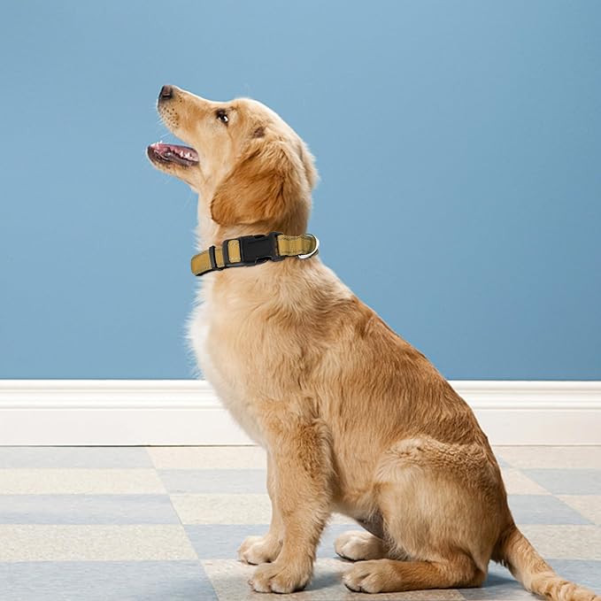 Reflective Dog Collar, Adjustable Soft Neoprene Padded,Khaki,M | Breathable Nylon for Medium Dogs,Tear-Resistant Webbing,Chafe‑Free on Walks and Hikes,Metal D-Ring,Night Safety - Image 2