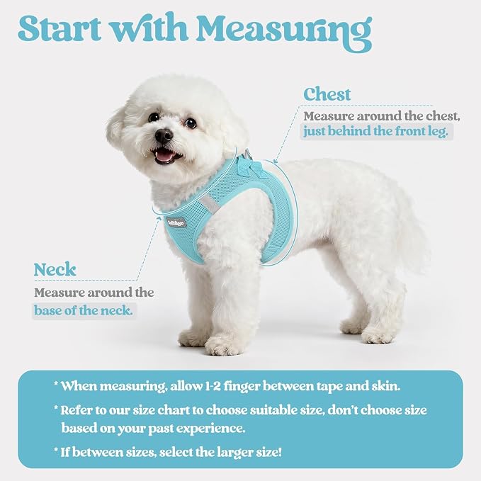 rabbitgoo Dog Harness Small Sized and Leash Set, Step-in Puppy Pet Vest | Light, Soft, Breathable Air Mesh, Easy on and Remove with Hook & Loop, Secure Reflective for Walking, Mint Blue XS - Image 2