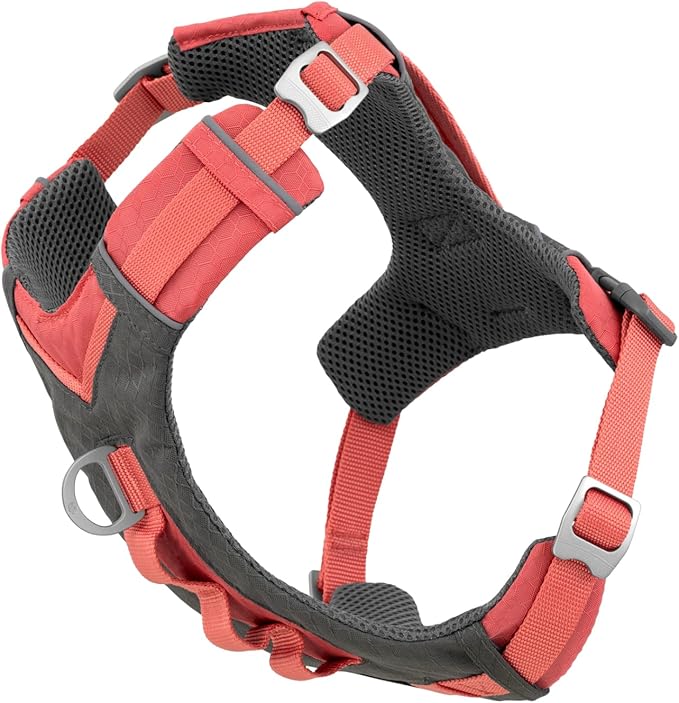 Kurgo Journey Air Dog Harness, Coral, Medium | Padded Chest, Ripstop Outer & Breathable Mesh, Back Assist Handle, Rust-Free Aluminum Hardware, Reflective Trim by Kurgo