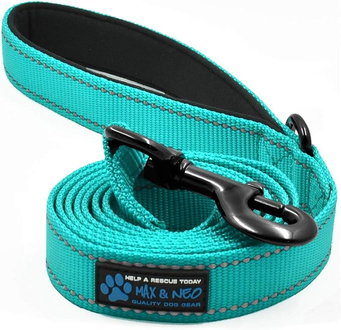 Max and Neo Small Dog Leash - Reflective Nylon, Donates to Dog Rescue (Teal, 6x5/8) by MaxandNeo