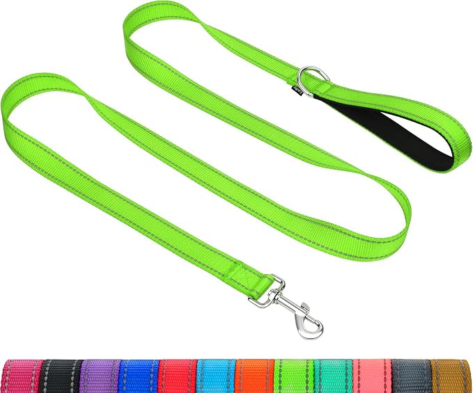 Taglory Reflective Dog Leash for Medium Large Dogs, 1in x 5ft, Neon Green | Ideal for Night Walking, Strong for Sudden Pulls, Lightweight & Gentle on the Neck, Soft Padded Handle by Taglory
