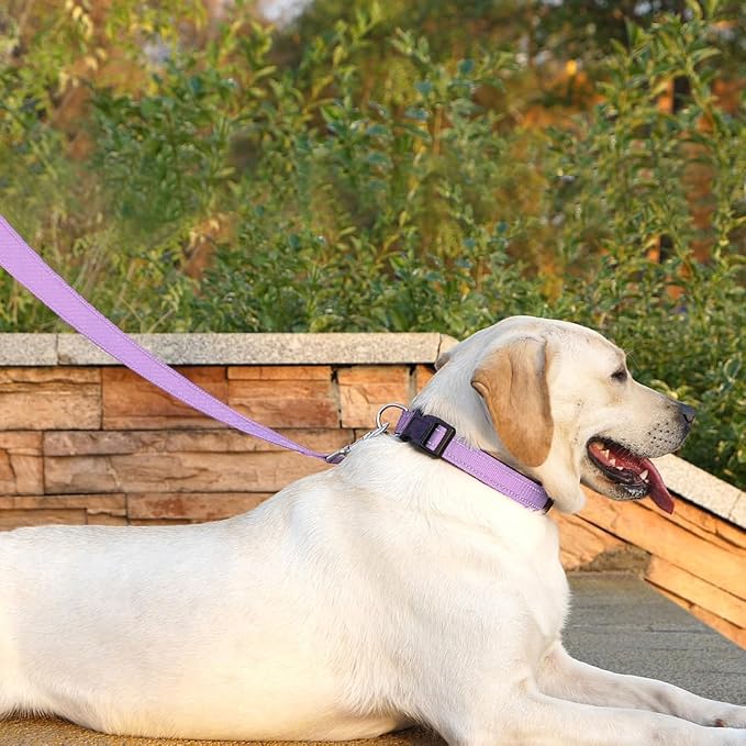 6 FT Basic Dog Leash for Small Dogs,Lavender | Padded Handle,Metal D-Ring,Heavy Duty Nylon Webbing, for Walking & Training - Image 2