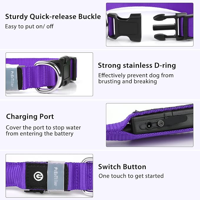 PcEoTllar Light up Dog Collar, for Night Walking, Adjustable, Purple, L | Colorful RGB Light, Waterproof, For Small Medium and Large Dogs, Durable Material, USB to Charge - Image 2