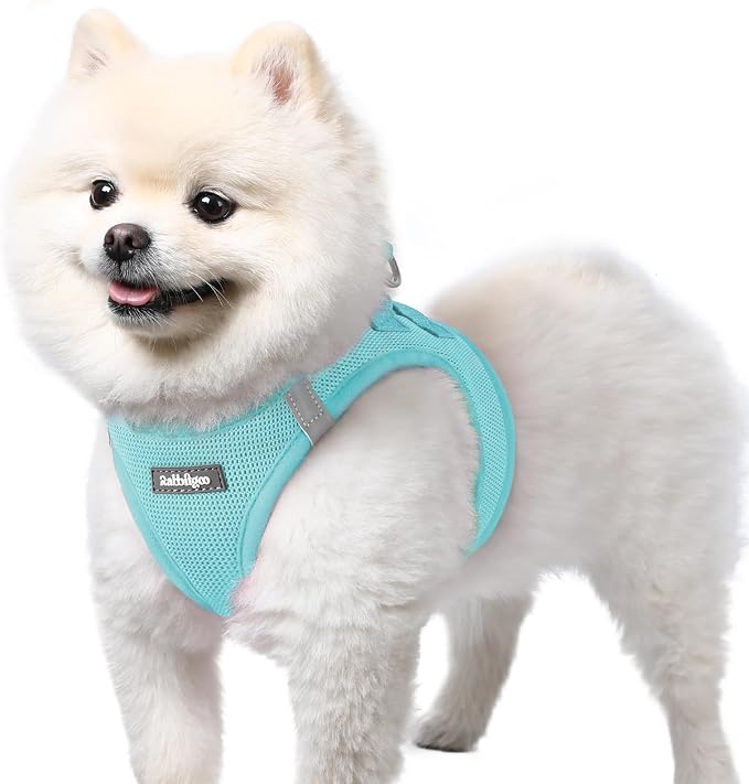 rabbitgoo Step-in Small Dog Harness, Puppy Vest for Small Sized Pet | Easy Put on and off, Lightweight, Soft, Breathable Quick-Dry Air Mesh for Comfortable Secure Walking, Mint Blue S by rabbitgoo