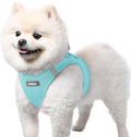 rabbitgoo Step-in Small Dog Harness, Puppy Vest for Small Sized Pet | Easy Put on and off, Lightweight, Soft, Breathable Quick-Dry Air Mesh for Comfortable Secure Walking, Mint Blue S by rabbitgoo