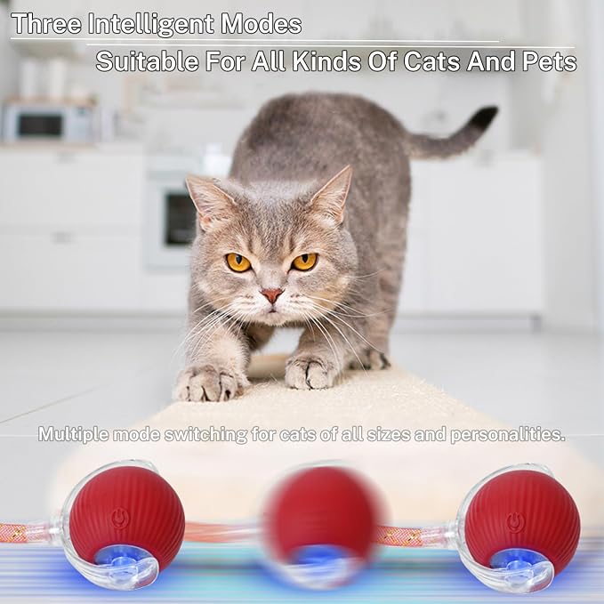 Speedy Tail 3.0 Interactive Toy Ball, 2 Tails for Cats & Dogs | cat chase toy|chirping bird cat toy|Adjustable sound level|300 mA high-capacity battery - Image 6