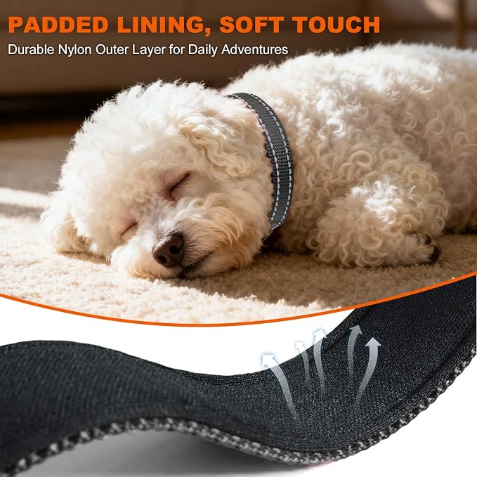 Taglory Reflective Dog Collar for Puppies, Gentle and Safe for Night Walks | Night-Walk Visibility, Soft Neck Cushioning, Adjustable 8-12 in, Locking Buckle, D-Ring for Leash and ID Tags - Image 4