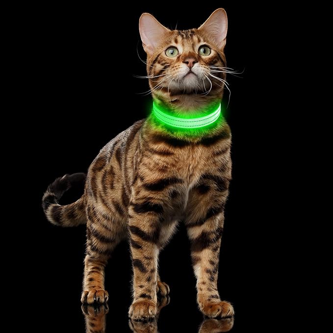 Illumifun LED Dog Collar, USB Rechargeable Light Up Dog Collar, Waterproof Nylon Glowing Safety Collar for Small Dogs Cats (Green, X-Small) - Image 6