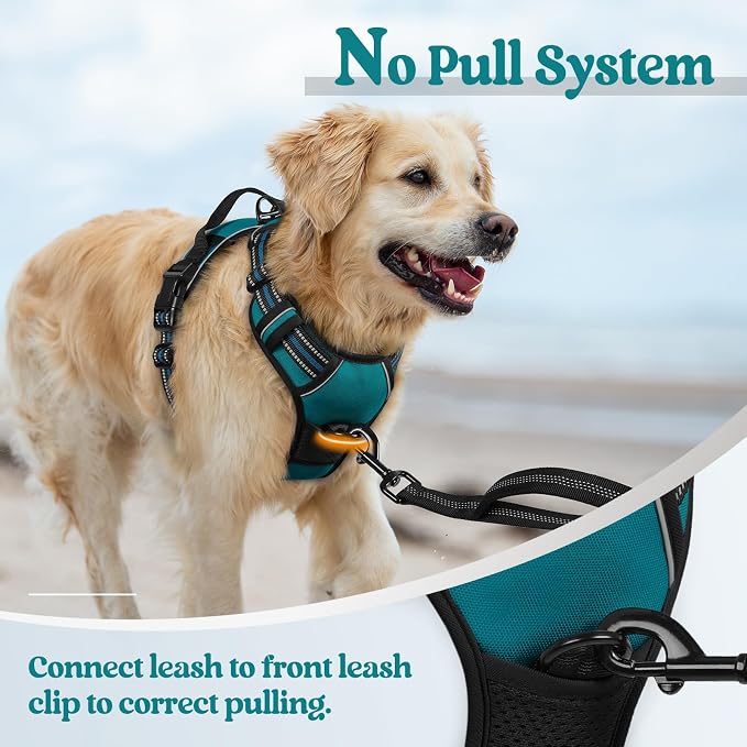 rabbitgoo Dog Harness, No Pull Medium Sized with 2 Leash Clips, Pet Vest | No Choke with Handle, Adjustable Soft Padded, Reflective, Easy Control for Walking, Blue Coral, Medium - Image 5