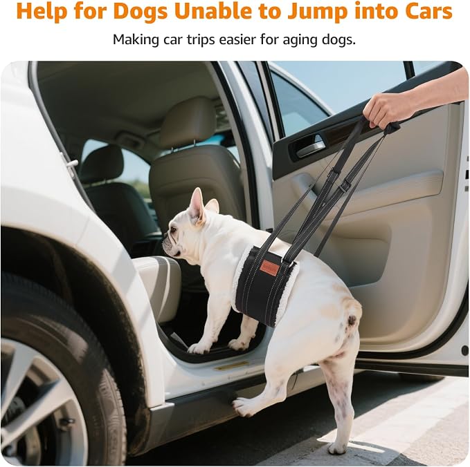 LOOBANI Portable Dog Sling for Small Dogs Hind Leg Support Weak Rear Legs | Walking & Stair Assistance, Senior Dog Mobility, Padded Comfort, Adjustable Fit, Lightweight Nylon, Soft Plush Lining - Image 3