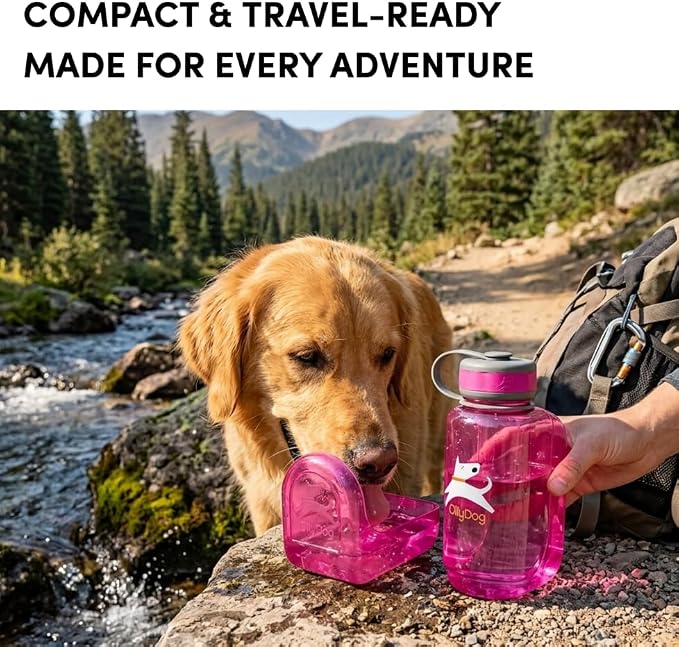 OllyDog OllyBottle Tritan Water Bottle with Detachable Dog Bowl | BPA Free Leakproof | 20oz | Share Water with Your Dog | Hiking Travel Camping (600ML, Hot Pink) - Image 3