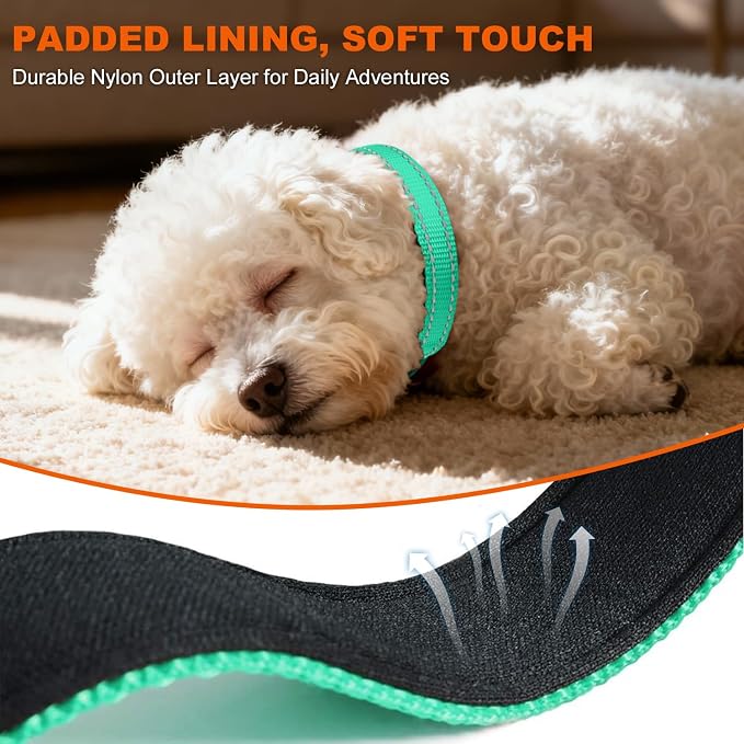 Taglory Reflective Dog Collar for Puppies, Gentle and Safe for Night Walks | Night-Walk Visibility, Soft Neck Cushioning, Adjustable 8-12 in, Locking Buckle, D-Ring for Leash and ID Tags - Image 4