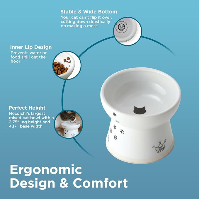 Necoichi Ceramic Raised Cat Food Bowl, Whisker-Friendly (Cats, Large Flat) - Image 3