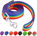 AMAGOOD 6 FT Puppy/ Dog Leash, Strong and Durable Traditional Style Leash with Easy to Use Collar Hook, Great for Small and Medium Dogs (3/4 in x 6 ft(Pack of 1), Rainbow) by DOGLEASH