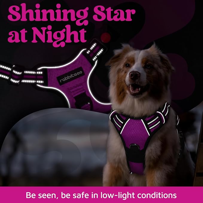 rabbitgoo Dog Harness for Large, No Pull 3 Buckles Easy On & Off | Soft Padded, Walking with Control Handle, Adjustable and Reflective, Purple, Large - Image 6