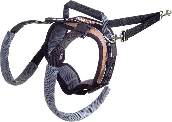 PetSafe CareLift Rear Support Harness - Lifting Aid with Handle and Shoulder Strap - Fits Waist Measuring 19-31 inches, Dog Weight 35lb-70lb, Medium, Black | Dog Lifting Aid with Handle & Shoulder Strap, Adjustable, Padded, Machine Washable, Helps Redu... by PetSafe