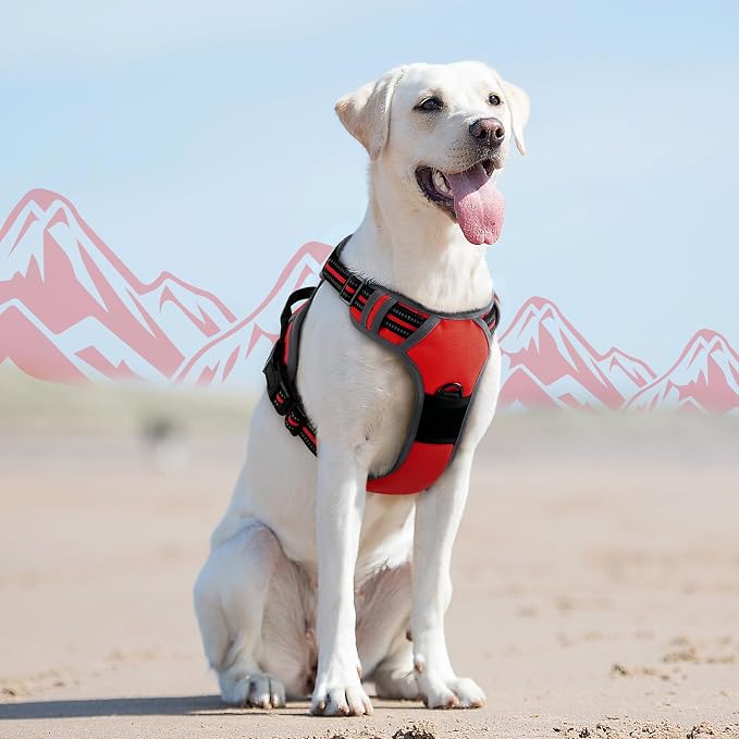 Eagloo Dog Harness for Large Dogs, No Pull Pet Vest with 2 Leash Clips | No Choke with Handle, Adjustable Comfort Fit, Reflective Strips, Easy Walking Control, Red, Large - Image 8