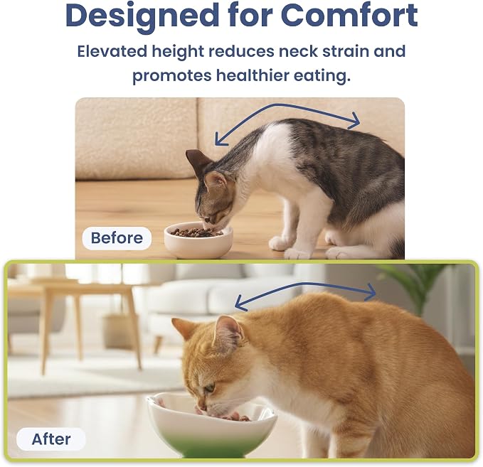 Strawberry Blooms Elevated Ceramic Cat Bowl, Green | Raised Cat Food Bowl with 15° Tilt, Whisker-Friendly Pet Feeding Bowl, Anti-Choking Dish, Dishwasher Safe - Image 8