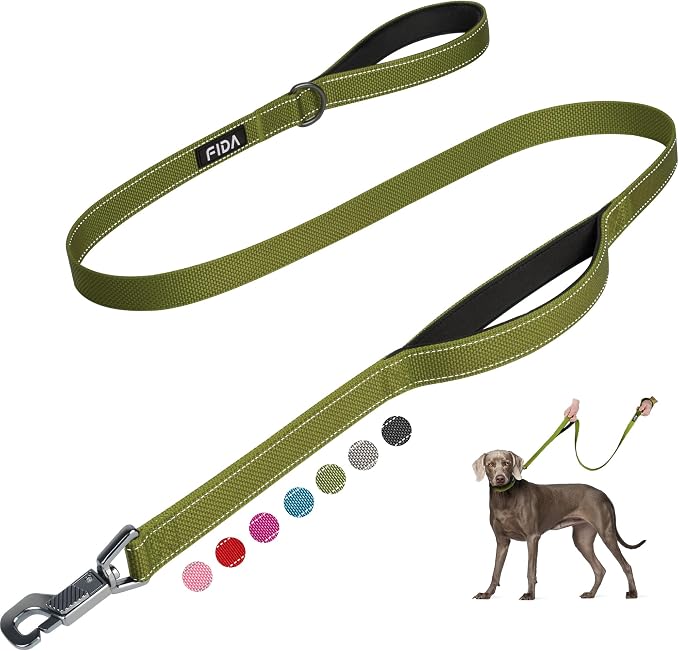 Fida Heavy Duty Dog Leash for Medium Large Dogs, 5 FT, Dual Padded Handles | Traffic Handle for Close Control, Advanced Easy Snap Hook, Reflective, Strong Nylon Webbing for Daily Walks & Training, Green by Fida