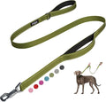 Fida Heavy Duty Dog Leash for Medium Large Dogs, 5 FT, Dual Padded Handles | Traffic Handle for Close Control, Advanced Easy Snap Hook, Reflective, Strong Nylon Webbing for Daily Walks & Training, Green by Fida