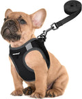 FAYOGOO Service Dog Vest Set for Small Dogs, Mesh Harness and Leash | Lightweight step-in vest with leash and removable identification patches; measure neck and chest before choosing a size by FAYOGOO