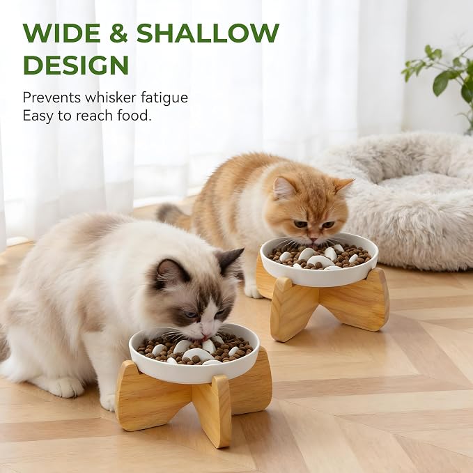 Raised Slow Feeder Cat Bowl with Stand, 6.3'' Wide Ceramic Elevated Shallow Slow Eating Cat Bowl for Dry/Wet Food, Anti-Vomiting Pet Puzzle Feeder, Whisker Friendly, Dishwasher Safe (2 Pack) | Anti-Gulping & Keep Fit, Dishwasher Safe, For Dry and Wet F... - Image 3