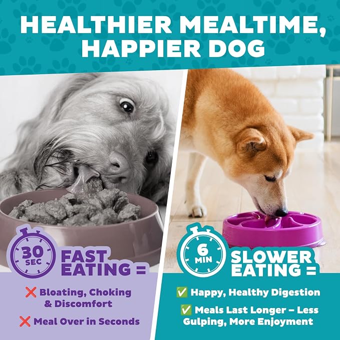 Outward Hound Fun Feeder Slo Bowl – Medium 2‑Cup Capacity,Slow Feeding,Small to Medium Dogs & Cats,Non-Slip,Purple,Flower Pattern,(Pack of 12) - Image 8