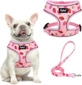 PUPTECK Small Dog Harness and Leash Set No Pull for XS XXS Sized Dogs Puppy | Escape Proof No Choke Pet Cat Adjustable Soft Padded Walking Vest by PUPTECK