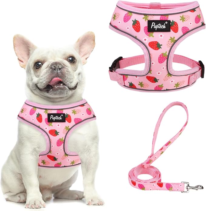 PUPTECK Small Dog Harness and Leash Set No Pull for XS XXS Sized Dogs Puppy | Escape Proof No Choke Pet Cat Adjustable Soft Padded Walking Vest by PUPTECK
