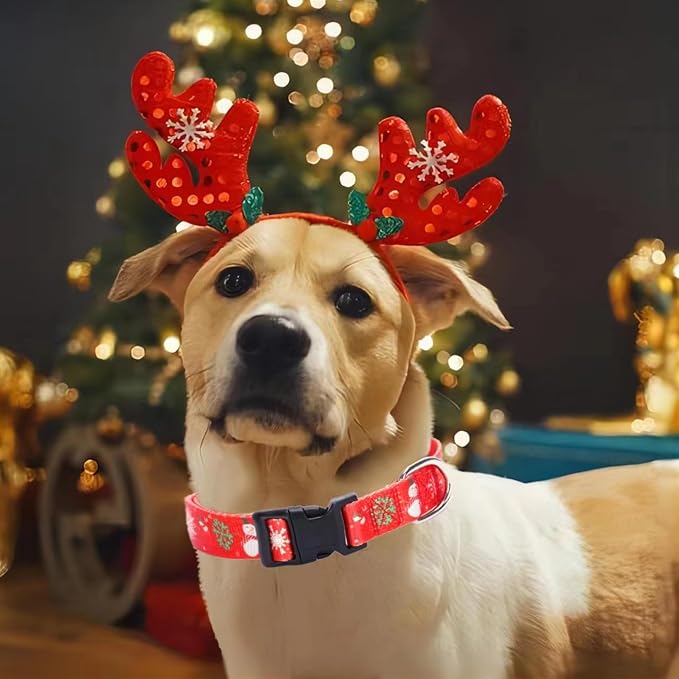 Christmas Dog Collar with Buckle Adjustable Safety Nylon Collars for Small Medium Large Dogs, Cute Stylish Girl Boy Christmas Dog Collar (Christma Red,L) - Image 5