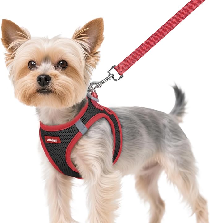 rabbitgoo Dog Harness Small Sized and Leash Set, Step in Soft Vest | Breathable Mesh, Easy Wear with Hook & Loop, Light and Reflective for Walking, Multi-colored, Black & Red, XS by rabbitgoo