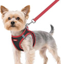 rabbitgoo Dog Harness Small Sized and Leash Set, Step in Soft Vest | Breathable Mesh, Easy Wear with Hook & Loop, Light and Reflective for Walking, Multi-colored, Black & Red, XS by rabbitgoo