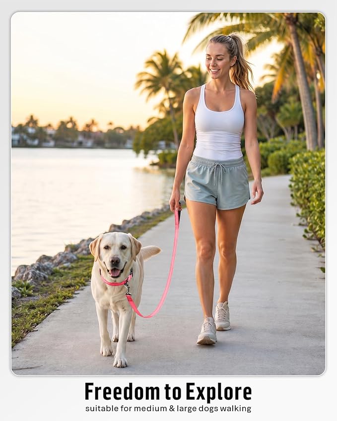 FunTags Reflective Nylon Dog Leash for Medium & Large Dogs, 6FT for Walks | Comfortable Padded Grip, Stay Safe at Night, 360° Anti-Tangle Swivel, for Dog Parks & Trails, Neon Pink - Image 5