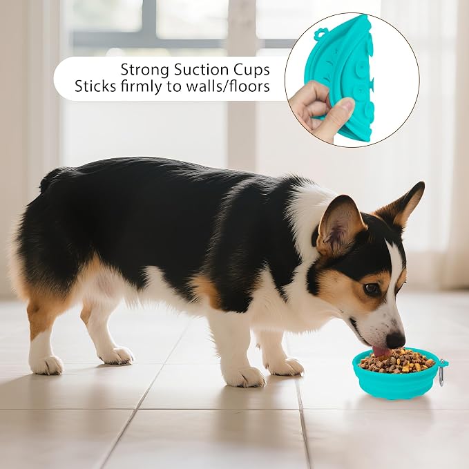 2-Pack Collapsible Dog Bowls with Suction Cups & Scraper - 16oz Travel Pet Bowls for Food/Water, Non-Slip Feeding Dish for Dogs, Includes Carabiner Clip Cyan-Olive Green - Image 6