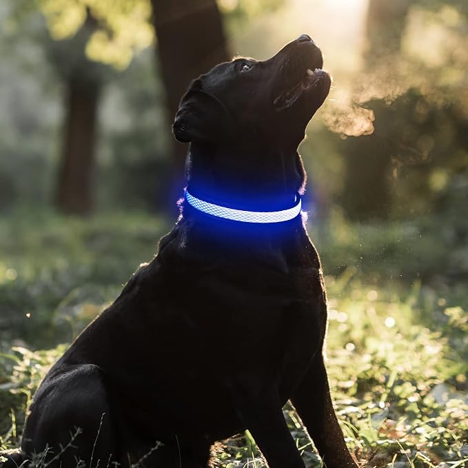 BSEEN Light Up Dog Collar, Reflective LED Puppy Collar Rechargeable Glow in the Dark Dog Lights for Night Walking (Small, Blue) - Image 6