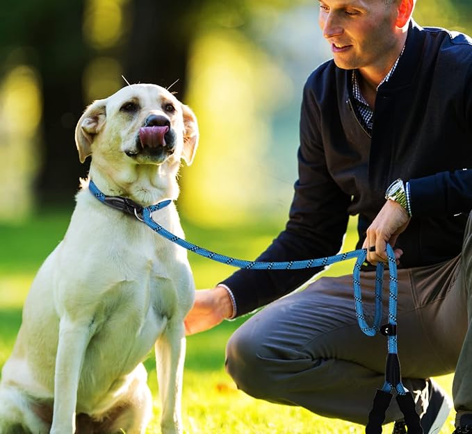 Dog Leash, 6 FT Slip Lead Dog Leashes, Durable Premium Quality Strong Training Rope Slip Leash with Comfortable Padded Handle and Highly Reflective Threads for Small Medium and Large Dogs, (Blue) - Image 7