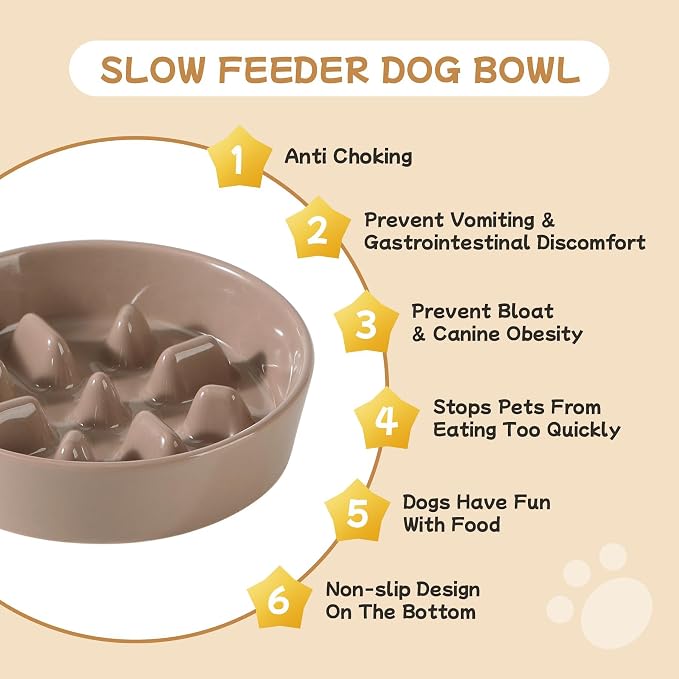 Havniva Elevated Slow Feeder Dog Bowls, Ceramic Dog Bowl Slow Feeder Set | 0.9 Cups Raised Slow Feeder Dog Bowl for Small Breed, 6.1” Dog Water Bowl with Wooden Stand, Puzzle Dog Food Bowl, Non-slip - Image 6