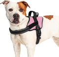 rabbitgoo No Pull No Choke Pet Vest, Adjustable Pet Harness with Molle | Large Sized Dog Harness, Reflective, Easy Wearing with One Buckle for Walking, Training, Pink, L by rabbitgoo