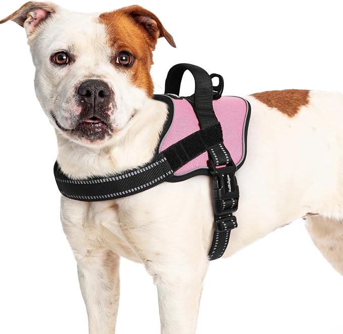 rabbitgoo No Pull No Choke Pet Vest, Adjustable Pet Harness with Molle | Large Sized Dog Harness, Reflective, Easy Wearing with One Buckle for Walking, Training, Pink, L by rabbitgoo