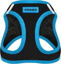 Voyager Step-in Air Dog Vest Harness - Black/Blue Trim, X-Large | 20.5 - 23" in Chest, Reflective Bands, All Weather Breathable Air Mesh, Cats Compatible, Lightweight, Fast Drying by BestPetSuppliesLLC