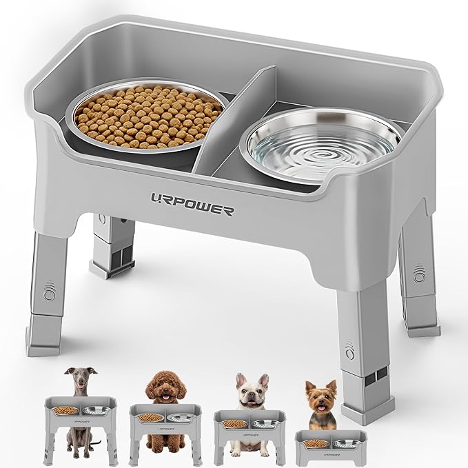URPOWER Mess Proof Elevated Dog Bowls for Small Dogs with Splash Guard | 2 Stainless Steel Dog Bowls Non-Slip Food and Water Bowl Set with High Wall Splash Guard Design for Small Dogs, Light Grey by URPOWER