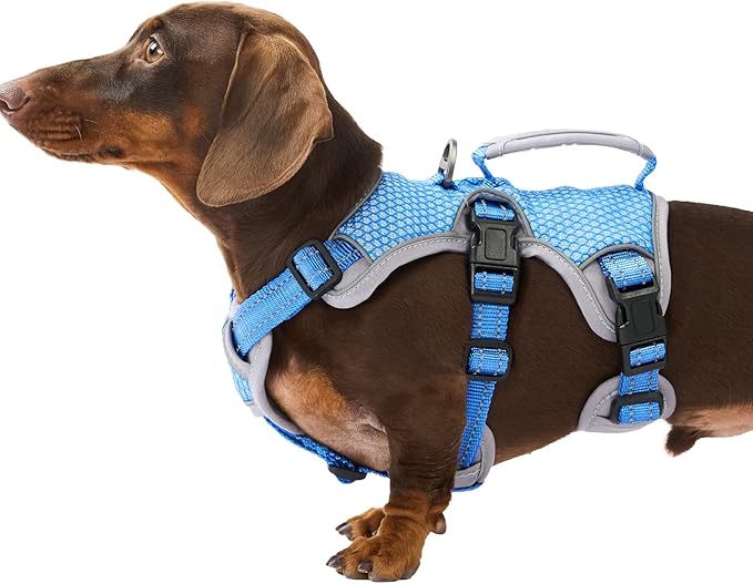 Escape Proof Dog Harness, Dachshund Harness, Reflective Dog Harness with Handle, Durable,Adjustable Vest for Small Medium Large Dogs Walking, Training, and Running Gear (Sea Blue,S) by Huntboo