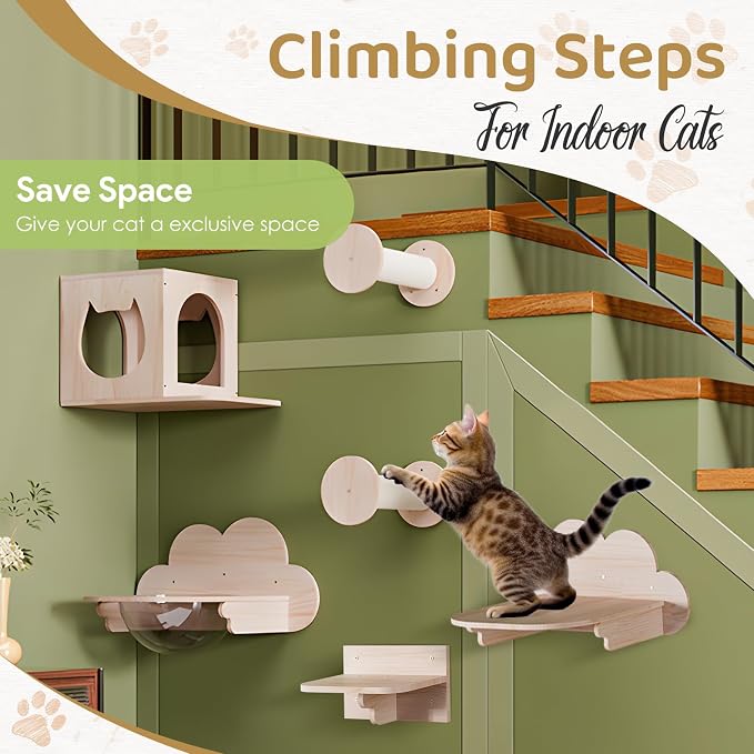 Cat Wall Furniture Set, Cats Wall Shelves Cat Wall Climber | 1 Cat Wall House and 1 Cat Wall Step Wooden Wall Mounted Cats Bed and Perches for Indoor Cats Playing, Climbing - Image 5