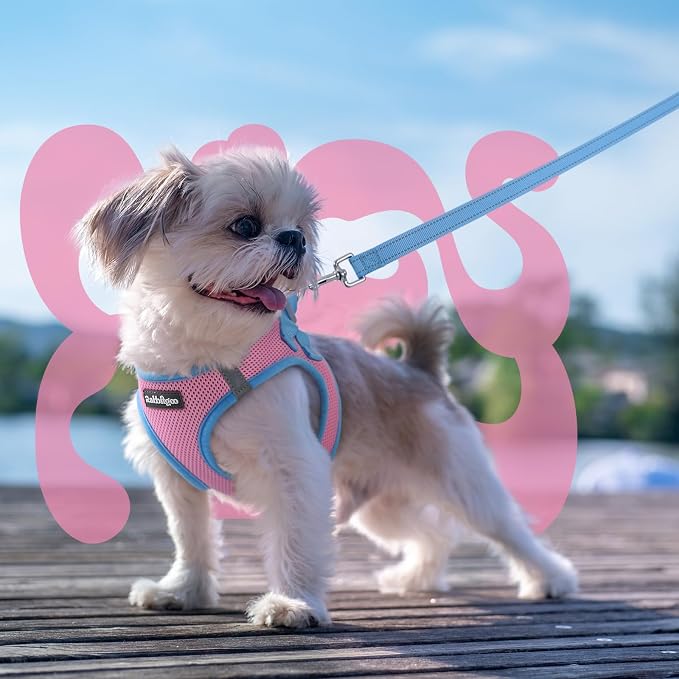 rabbitgoo Dog Harness Small Sized and Leash Set, Step in Soft Vest | Breathable Mesh, Easy Wear with Hook & Loop, Light and Reflective for Walking, Multi-colored, Pink & Blue, S - Image 8