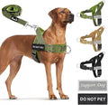 SlowTon No Pull Dog Harness with Front Clip - Heavy Duty, Soft Padded | Neck & Chest Adjustable, Tactical Pet Vest and Leash Set for Large Medium Sized Dogs, for Easy Walk & Training, Green M by SlowTon