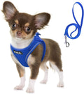 Fida Comfy Dog Harness with Leash, Soft Puppy Vest Escape Proof, Breathable Lightweight Soft Mesh, Adjustable Reflective Step-in Harness for Small Pet Walking (S, Blue) by Fida